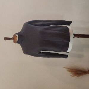 Everlane Dark Gray Turtleneck Sweater